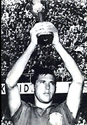 Bellini