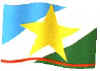 flag of Roraima