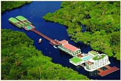 Amazon Jungle Palace