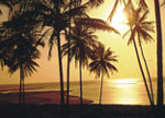 palm beaches Maceió