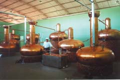 alambique, tanks where cachaa is fermented