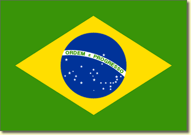 brazilflag.gif