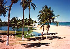 Maceio