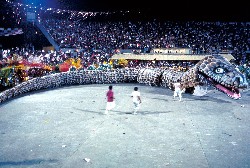 Festival de Parintins