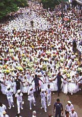 Sons of Gandhi, Salvador, Bahia