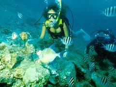 Angra dos Reis diving