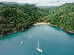 Ilha Grande forest